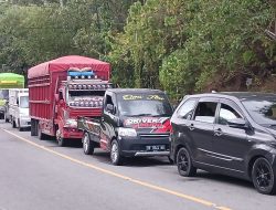 Arus Lalu Lintas Lumpuh Akibat Tiang Listrik Roboh di Parigi Moutong