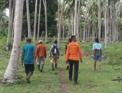 Tim SAR Cari Warga Desa Salipi Banggai yang Hilang di Kebun