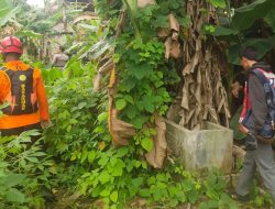 Anak Perempuan Usia 5 Tahun Diduga Hilang di Hutan Banggai Laut