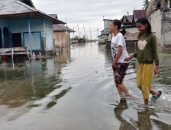 Banjir Rob Kembali Terjang Pemukiman, Warga Sausu Peore Minta  Dibuatkan Tanggul Permanen