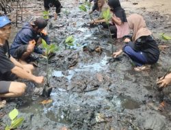 Tanam 1000 Mangrove, FKPAPT Parigi Moutong Kampanyekan Pelestarian Teluk Tomini