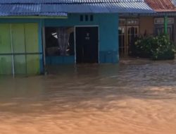 Parigi Moutong Tetapkan Status Tanggap Darurat, Banjir Rendam 12 Desa di Tiga Kecamatan