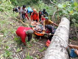 Kecelakaan Minibus di Kebun Kopi Parigi Moutong, Korban Selamat Dievakuasi dari Jurang 110 Meter