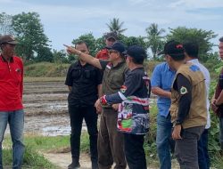 Respons Cepat Banjir Balinggi, Wakil Bupati Abdul Sahid Tinjau Lokasi dan Koordinasi Penanganan