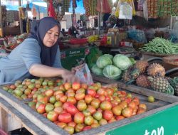 Harga Tomat Melonjak di Parigi Moutong Tembus Rp 30 Ribu Perkilogram