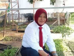 Dinas Ketahanan Pangan Parigi Moutong Bagikan Ribuan Bibit Cabai Gratis