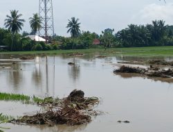 DPRD Parigi Moutong Dorong Pembangunan Tanggul Permanen di Kecamatan Balinggi