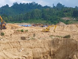 Tiga Bos PETI Diduga Kebal Hukum, Tambang Emas Ilegal Masih Marak di Parigi Moutong