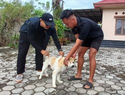 Puluhan Anjing- Kucing di Parimo Divaksin, Cegah Rabies Usai 400 Kasus Gigitan dan Tiga Meninggal
