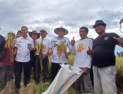Camat Kasimbar Minta Dukungan Pemerintah Daerah Perbaiki Irigasi Pertanian