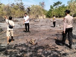 Sampah Liar Picu Kebakaran, 50 Pohon Mente Warga Parigi Barat Hangus