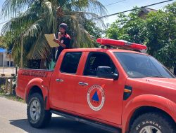 Cegah Kebakaran Hutan dan Lahan, Ini Imbauan BPBD Parigi Moutong