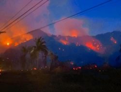 Kebakaran Hutan dan Lahan di Parigi Moutong, BPBD Dirikan Posko Darurat
