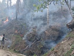 Karhutla di Desa Avolua Meluas, Warga Padamkan Api dengan Alat Seadanya