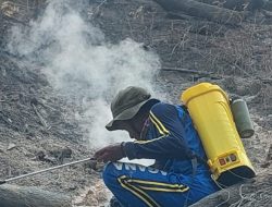 Tagana Parigi Moutong Tembus Medan Ekstrem, Padamkan 100 Titik Api di Puncak Gunung