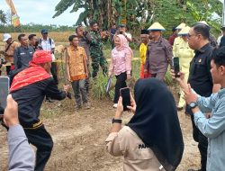 Pemda Parimo Sambut Kajati Nuzul Rahmat dengan Adat, Perkuat Program Jaksa Mandiri Pangan