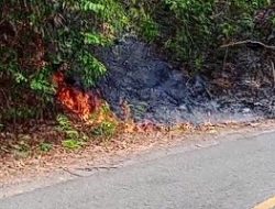 Karhutla 1 Hektare Terjadi di Desa Bondoyong, Api Berhasil Dipadamkan