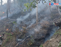 Pemkab Parigi Moutong Berupaya Pulihkan Lahan Terbakar Agar Kembali Produktif