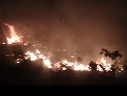 Karhutla Terjadi di Kasimbar, Api Cepat Meluas Dipicu Angin Kencang