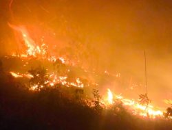 Karhutla 2 Hektare di Labuan Donggulu, Parigi Moutong Berhasil Dipadamkan