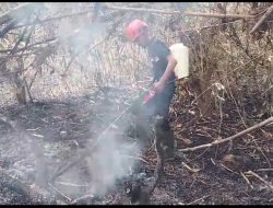 Dua Karhutla Sehari, 2,5 Hektare Lahan Terbakar di Parigi Moutong