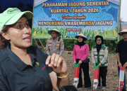 Pemkab Parimo Ajak Warga Tanam Jagung, Bulog Siap Serap Hasil Panen
