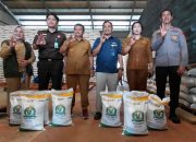 Wabup Parimo Cek Kualitas Beras, Tegaskan Bantuan Harus Tepat Sasaran
