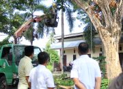 Bupati Parigi Moutong Tinjau Penebangan Pohon, Siapkan Antisipasi dan Peremajaan