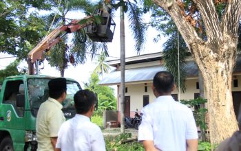 Bupati Parigi Moutong Tinjau Penebangan Pohon, Siapkan Antisipasi dan Peremajaan