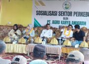 Pemdes Posona Tegas Tolak Tambang Emas, Fokus Kembangkan Perkebunan Durian