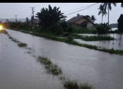 Tiga Tanggul Jebol, Banjir Rendam Permukiman di Balinggi Jati