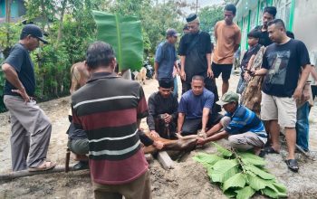 Pembagian Daging Kurban Dari Rumah ke Rumah Warnai Iduladha di Kasimbar Utara