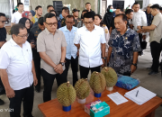 Parigi Moutong Perkuat Kualitas Durian Ekspor