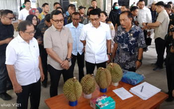 Parigi Moutong Perkuat Kualitas Durian Ekspor