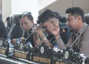 Irfain Dorong Pemda Parigi Moutong Siapkan Kawasan Investasi