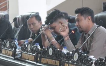 Irfain Dorong Pemda Parigi Moutong Siapkan Kawasan Investasi