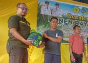 7.553 Petani Parigi Moutong Dapat Benih M70D, Solusi Hadapi Padi Liar