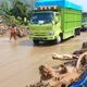 Banjir Avolua Lumpuhkan Trans Sulawesi, Rumah Warga Terendam Lumpur