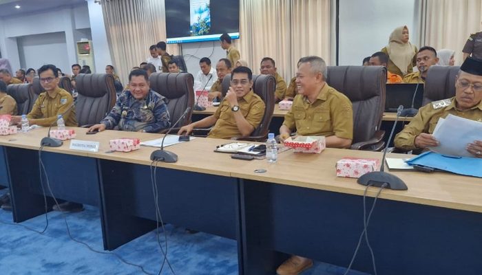 Kekeringan Ancam 3.200 Hektare Sawah di Mepanga, Pemkab Parimo Siapkan Sumur Bor