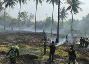 Satu Hektare Kebun Kelapa di Moutong Barat Hangus Terbakar