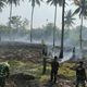 Satu Hektare Kebun Kelapa di Moutong Barat Hangus Terbakar