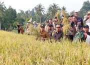 Panen Perdana Cetak Sawah Rakyat, Bupati Parimo Target Kembalikan Kejayaan Lumbung Padi